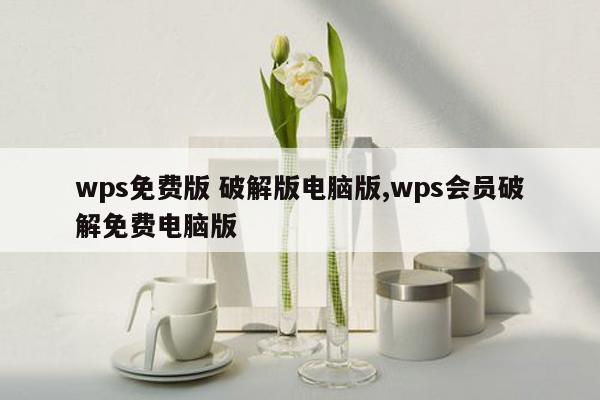 wps免费版 破解版电脑版,wps会员破解免费电脑版