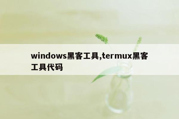 windows黑客工具,termux黑客工具代码