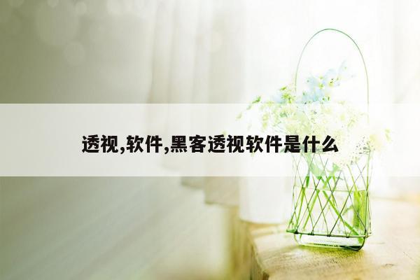 透视,软件,黑客透视软件是什么