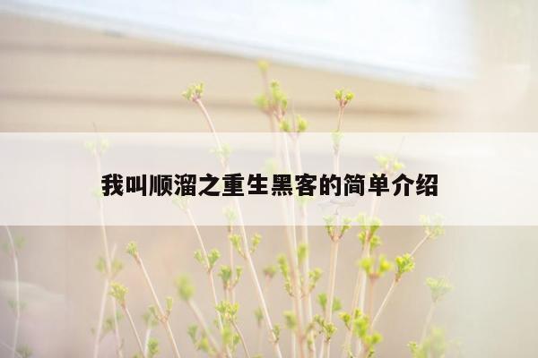 我叫顺溜之重生黑客的简单介绍