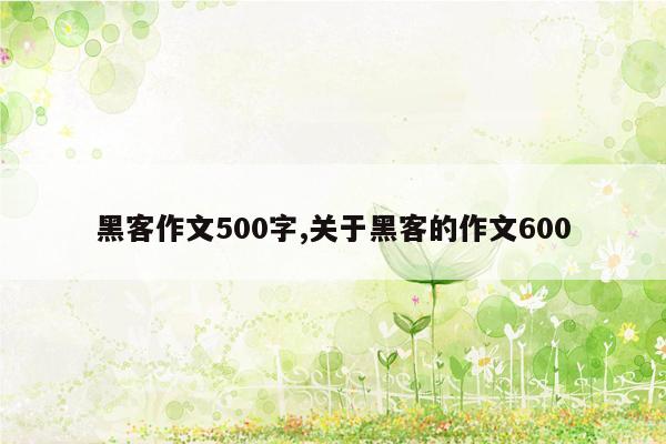 黑客作文500字,关于黑客的作文600