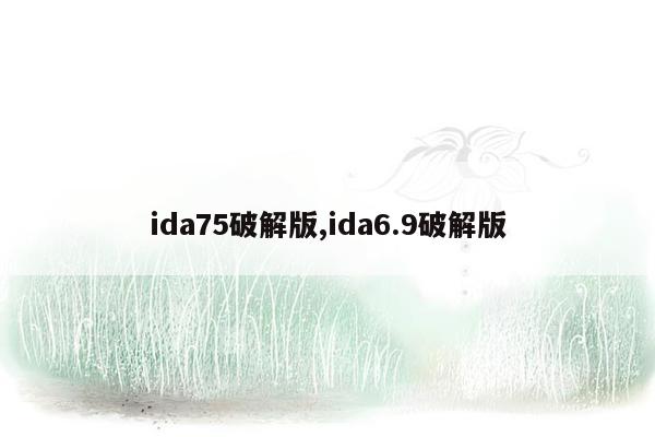 ida75破解版,ida6.9破解版