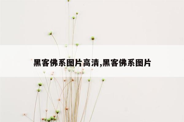 黑客佛系图片高清,黑客佛系图片