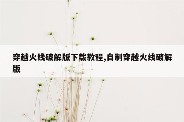 穿越火线破解版下载教程,自制穿越火线破解版