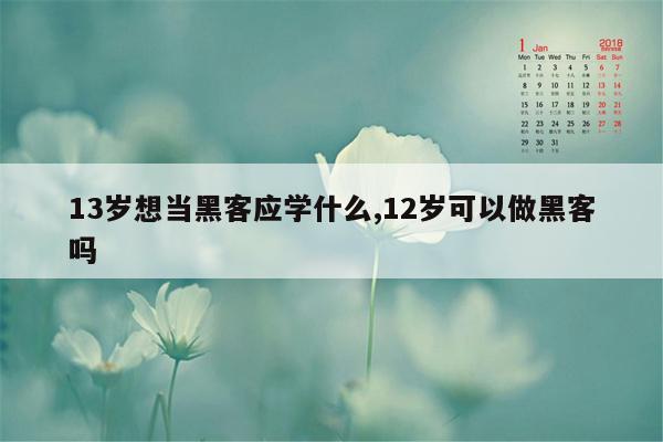 13岁想当黑客应学什么,12岁可以做黑客吗