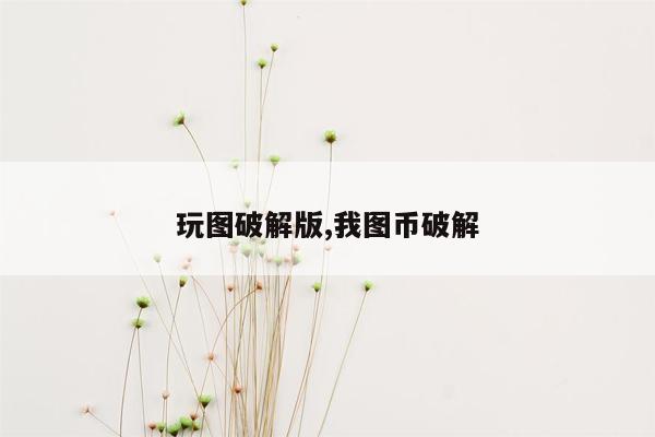 玩图破解版,我图币破解