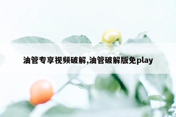 油管专享视频破解,油管破解版免play