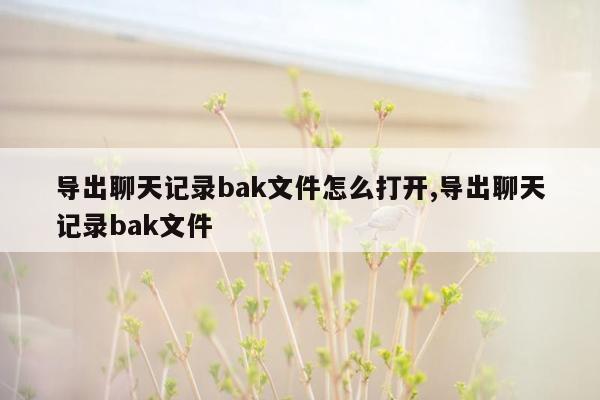 导出聊天记录bak文件怎么打开,导出聊天记录bak文件