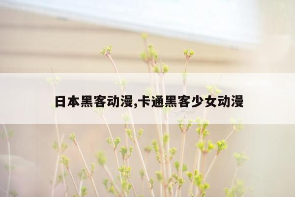 日本黑客动漫,卡通黑客少女动漫