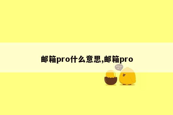 邮箱pro什么意思,邮箱pro