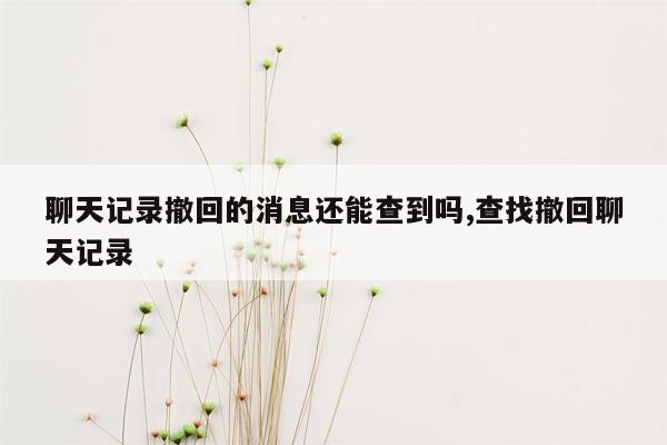 聊天记录撤回的消息还能查到吗,查找撤回聊天记录