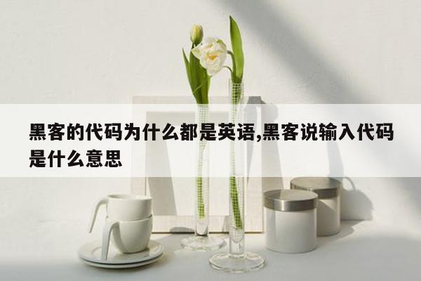 黑客的代码为什么都是英语,黑客说输入代码是什么意思