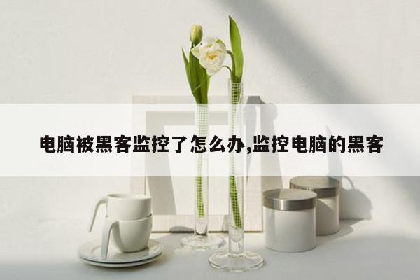 电脑被黑客监控了怎么办,监控电脑的黑客