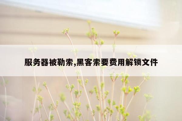 服务器被勒索,黑客索要费用解锁文件