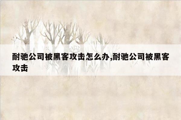 耐驰公司被黑客攻击怎么办,耐驰公司被黑客攻击