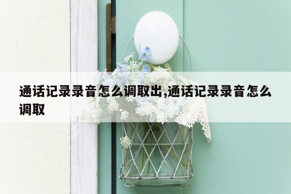 通话记录录音怎么调取出,通话记录录音怎么调取