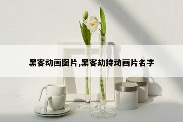 黑客动画图片,黑客劫持动画片名字