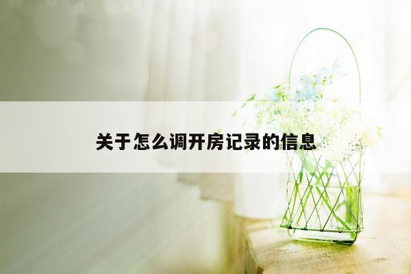 关于怎么调开房记录的信息