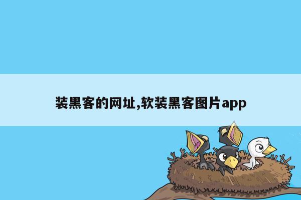 装黑客的网址,软装黑客图片app