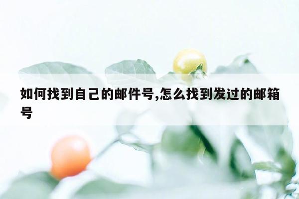 如何找到自己的邮件号,怎么找到发过的邮箱号