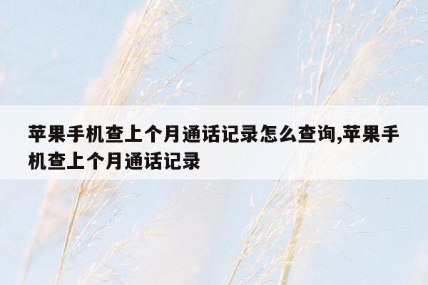 苹果手机查上个月通话记录怎么查询,苹果手机查上个月通话记录