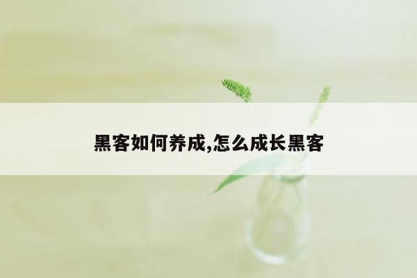 黑客如何养成,怎么成长黑客