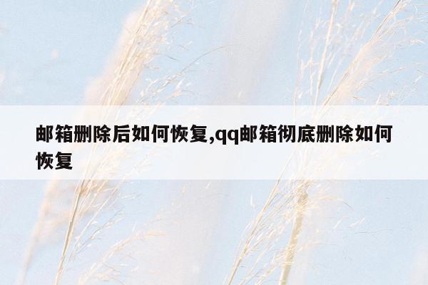 邮箱删除后如何恢复,qq邮箱彻底删除如何恢复