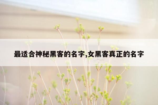 最适合神秘黑客的名字,女黑客真正的名字