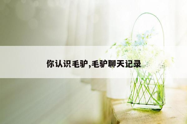 你认识毛驴,毛驴聊天记录