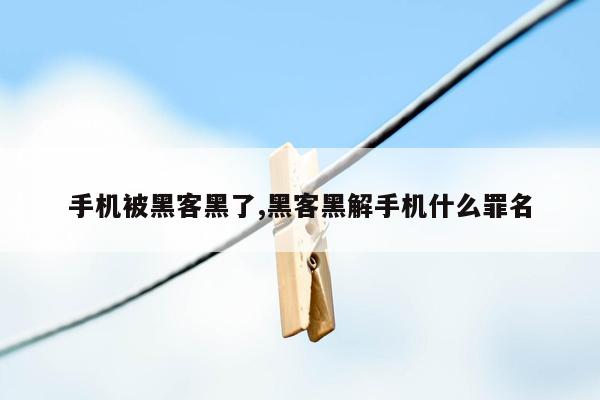 手机被黑客黑了,黑客黑解手机什么罪名