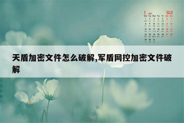 天盾加密文件怎么破解,军盾网控加密文件破解