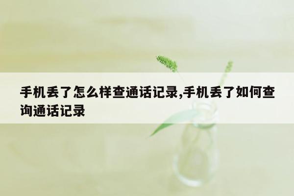 手机丢了怎么样查通话记录,手机丢了如何查询通话记录