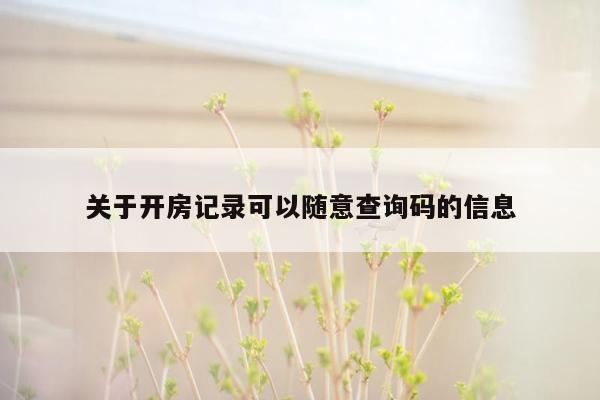 关于开房记录可以随意查询码的信息