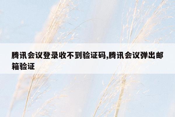 腾讯会议登录收不到验证码,腾讯会议弹出邮箱验证