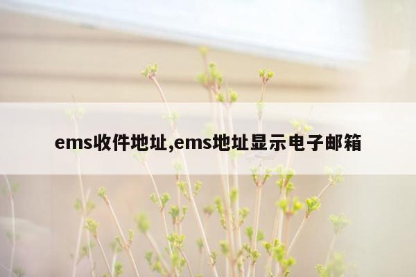 ems收件地址,ems地址显示电子邮箱