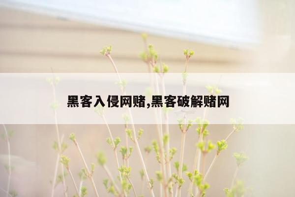 黑客入侵网赌,黑客破解赌网