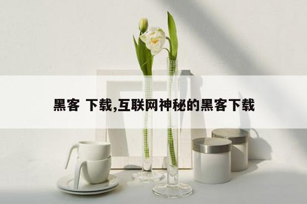 黑客 下载,互联网神秘的黑客下载