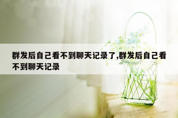 群发后自己看不到聊天记录了,群发后自己看不到聊天记录