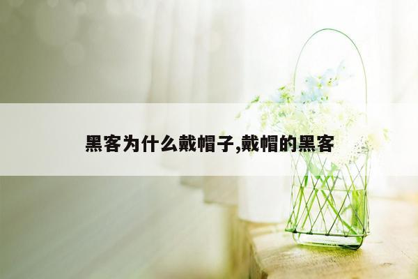 黑客为什么戴帽子,戴帽的黑客