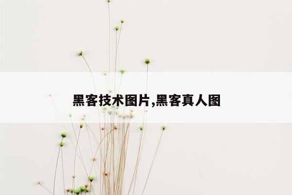 黑客技术图片,黑客真人图