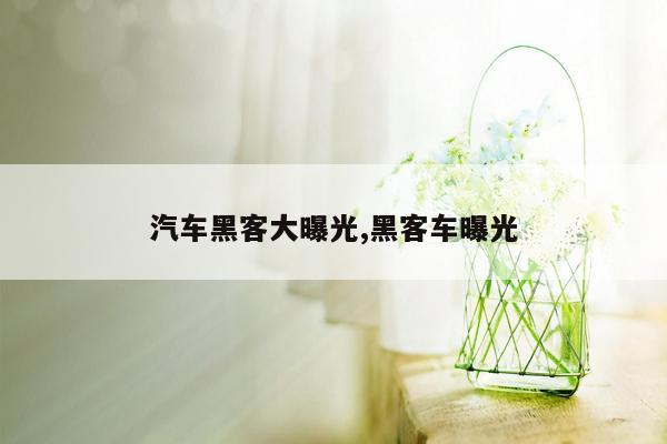 汽车黑客大曝光,黑客车曝光