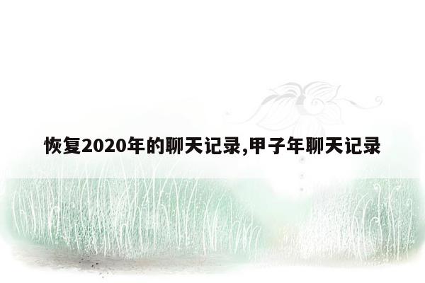 恢复2020年的聊天记录,甲子年聊天记录