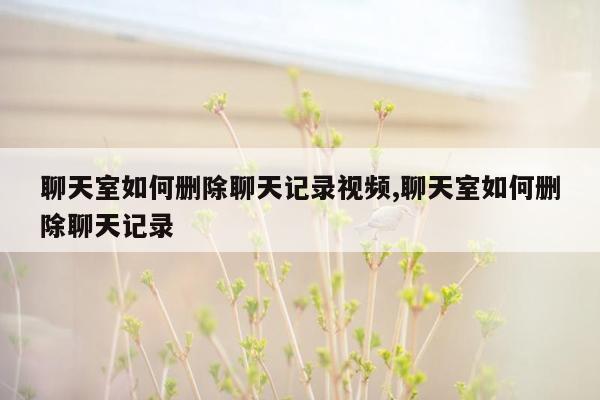 聊天室如何删除聊天记录视频,聊天室如何删除聊天记录