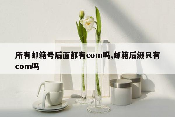 所有邮箱号后面都有com吗,邮箱后缀只有com吗