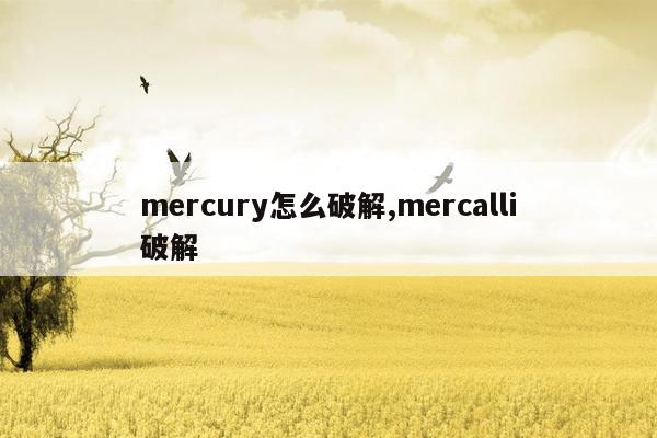 mercury怎么破解,mercalli破解