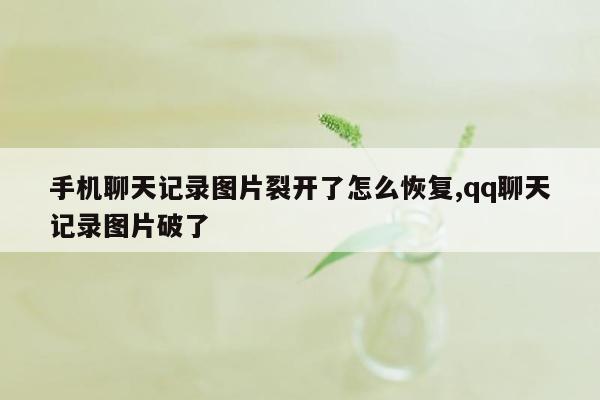 手机聊天记录图片裂开了怎么恢复,qq聊天记录图片破了