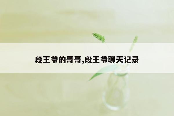 段王爷的哥哥,段王爷聊天记录