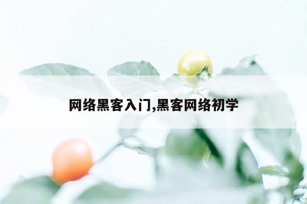 网络黑客入门,黑客网络初学