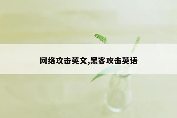 网络攻击英文,黑客攻击英语