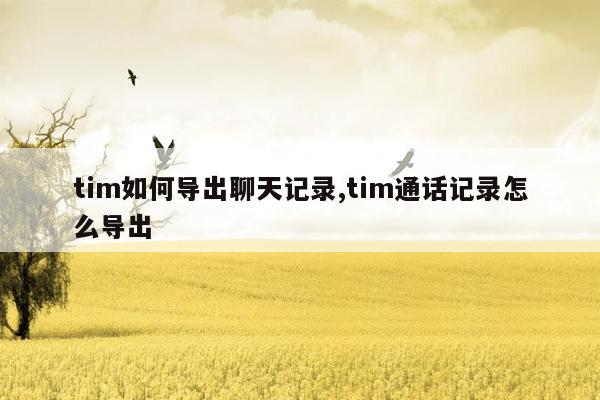 tim如何导出聊天记录,tim通话记录怎么导出